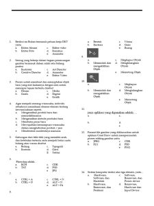 Soal Ujian Animasi Multimedia 2023 PDF