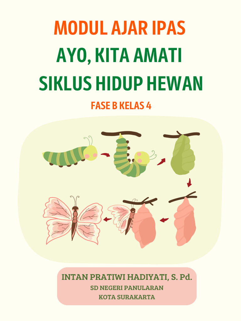 Wajib Tahu Materi dan Soal Siklus Hewan Kelas 4 Semester 2 Ini Agar Nilai Memuaskan Wajib Tahu Materi dan Soal Siklus Hewan Kelas 4 Semester 2 Ini Agar Nilai Memuaskan
